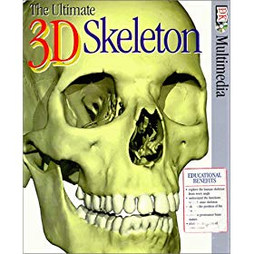 The Ultimate 3D Skeleton