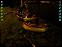 Aliens Versus Predator 2 - NeverDieMedia