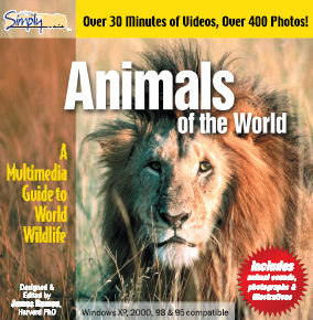 Animals Of The World