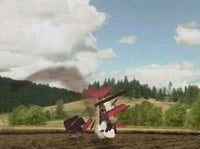 Red Baron 2