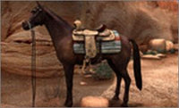 Nancy Drew: The Secret of Shadow Ranch - NeverDieMedia