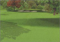 Tiger Woods: PGA Tour Collection