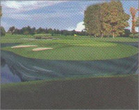 Tiger Woods: PGA Tour Collection