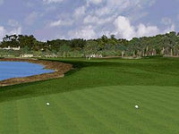 Tiger Woods: PGA Tour Collection