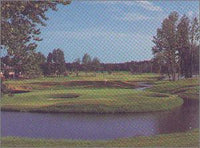 Tiger Woods: PGA Tour Collection