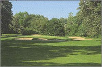 Tiger Woods: PGA Tour Collection