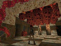 Tomb Raider Gold