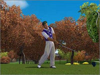 Tiger Woods 2004 w/ Manual