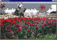 Puzzle Master 2
