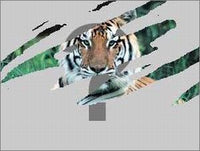 Animal Genius - NeverDieMedia