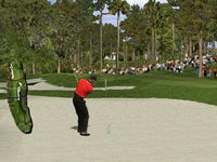 Tiger Woods '99