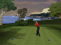 Tiger Woods '99