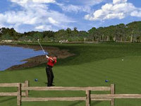 Tiger Woods '99