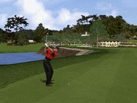 Tiger Woods '99
