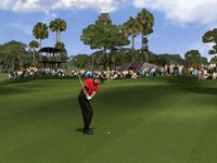 Tiger Woods '99