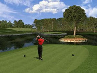 Tiger Woods '99