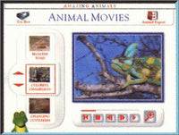 Amazing Animals