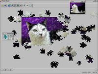 Puzzle Master