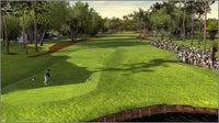 Tiger Woods 2008
