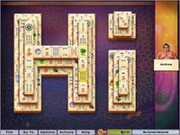 Hoyle Puzzle & Board Games 2008 - NeverDieMedia