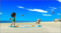 Wii Sports Resort w/ Manual