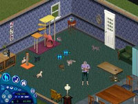 The Sims: Unleashed - NeverDieMedia