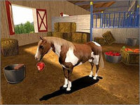 Let's Ride! Corral Club