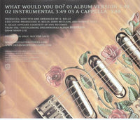 The Isley Brothers: What Would You Do? 3-Track Promo - NeverDieMedia