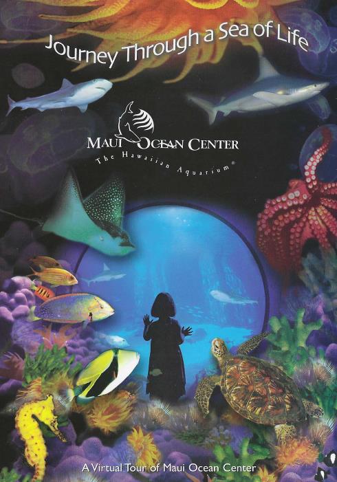 Journey Through A Sea Of Life: Maui Ocean Center