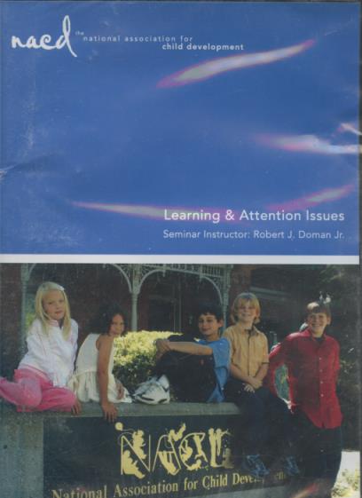 Learning And Attention Issues: Exploring What Works