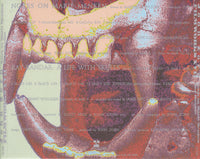 John Zorn: Filmworks XVII