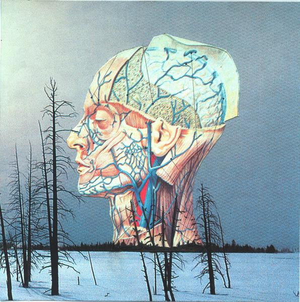 Low: Songs For A Dead Pilot