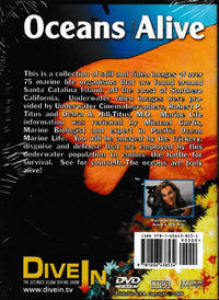 Oceans Alive: Marine Life Of Catalina Island