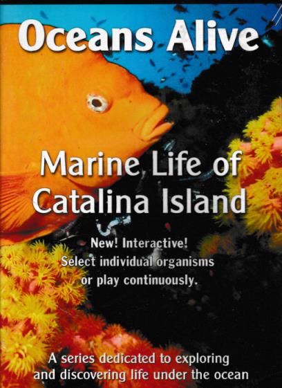 Oceans Alive: Marine Life Of Catalina Island