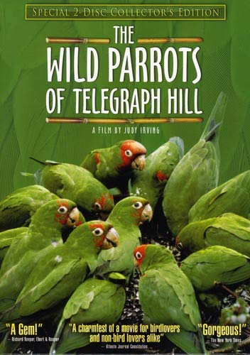 The Wild Parrots Of Telegraph Hill Special Collector's 2-Disc Set