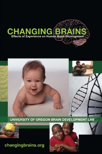 Changing Brains: Effects Of Experience On Human Brain Development