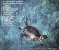 L*Roneous: Imaginarium 1998
