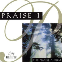 Praise 1 / Instrumental Praise 1: The Praise Album