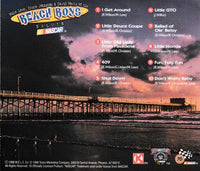 Mike Love, Bruce Johnston & David Marks Of The Beach Boys: Salute NASCAR