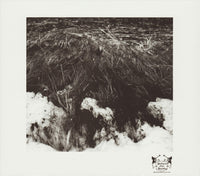 Locrian & Mamiffer: Bless Them That Curse You