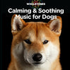Calming & Soothing Music For Dogs