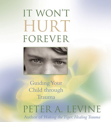 It Won't Hurt Forever: Guiding Your Child Through Trauma 2-Disc Set