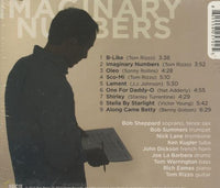 Tom Rizzo: Imaginary Numbers