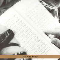 Steven Bernstein: Diaspora Blues