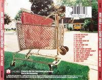 Mike Viola And The Candy Butchers: Falling Into Place