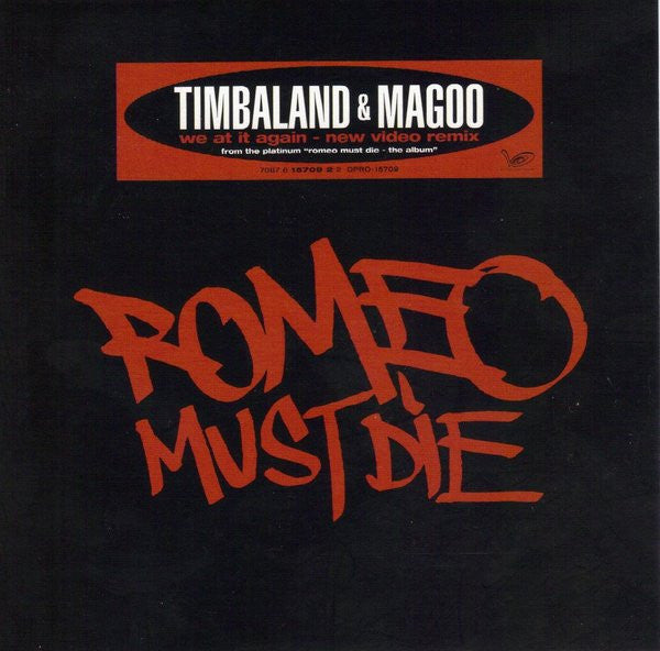 Timbaland & Magoo: We At It Again Promo
