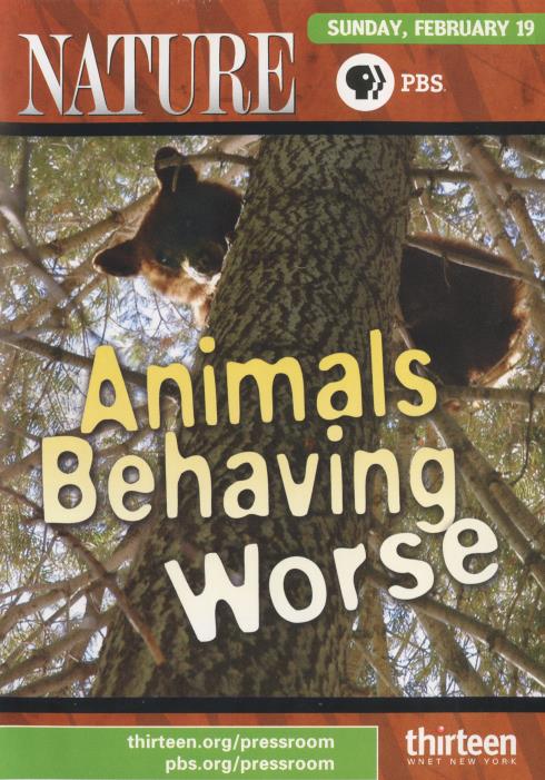 Animal Behaving Worse