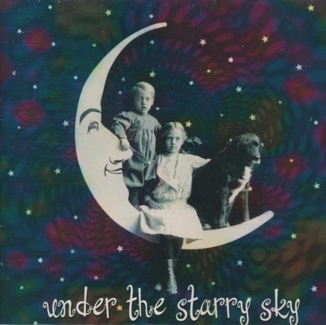 Rolly DeVore: Under The Starry Sky
