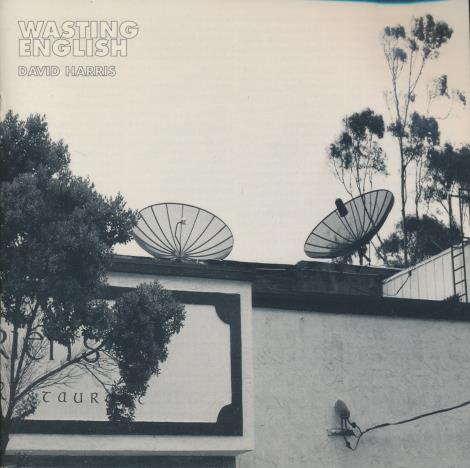 David Harris: Wasting English