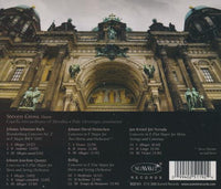 Steven Gross: Baroque.horn